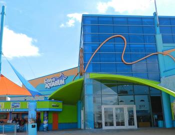 Ripley's Aquarium